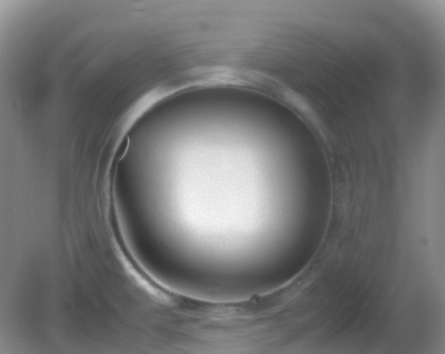 X0000083001479200702011442