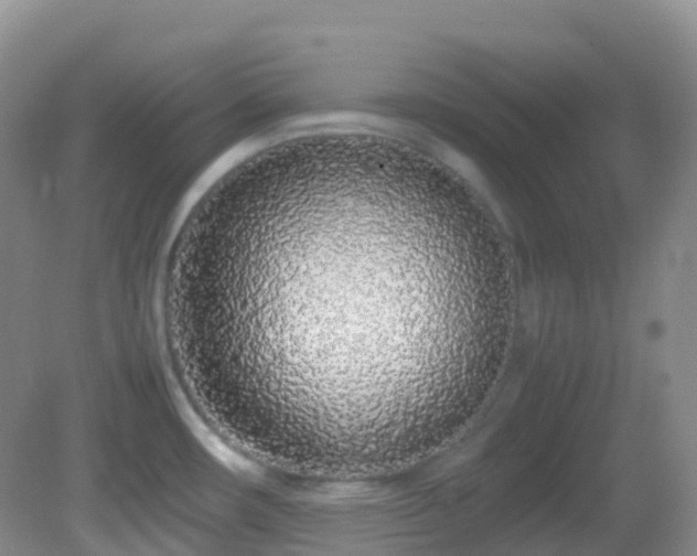 X0000083001482200702011442