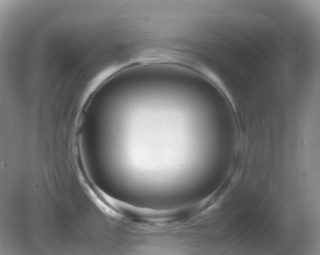 X0000083001485200702011442