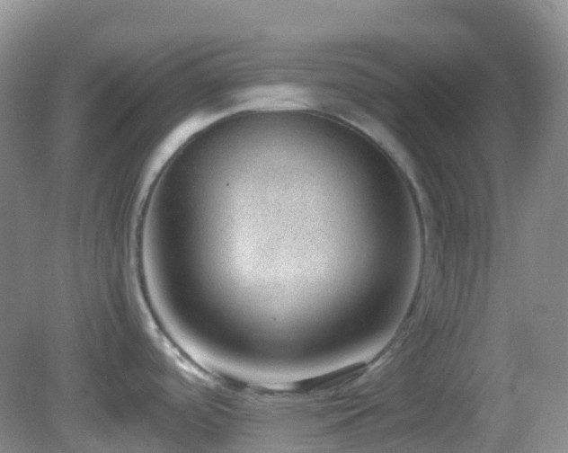 X0000083001488200702011442