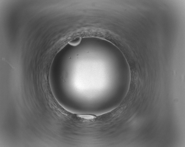 X0000083001489200702011441
