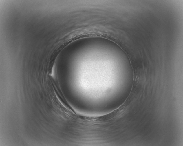 X0000083001490200702011441