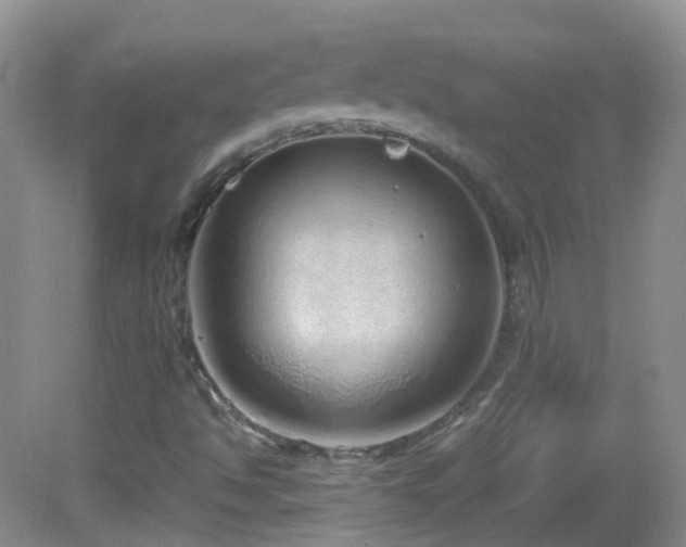 X0000083001494200702011441