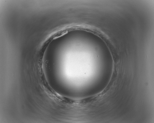 X0000083001496200702011441