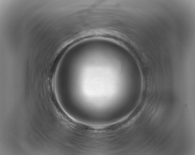 X0000083001497200702011441