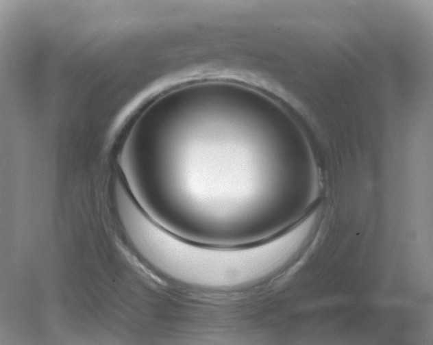 X0000083001502200702011441