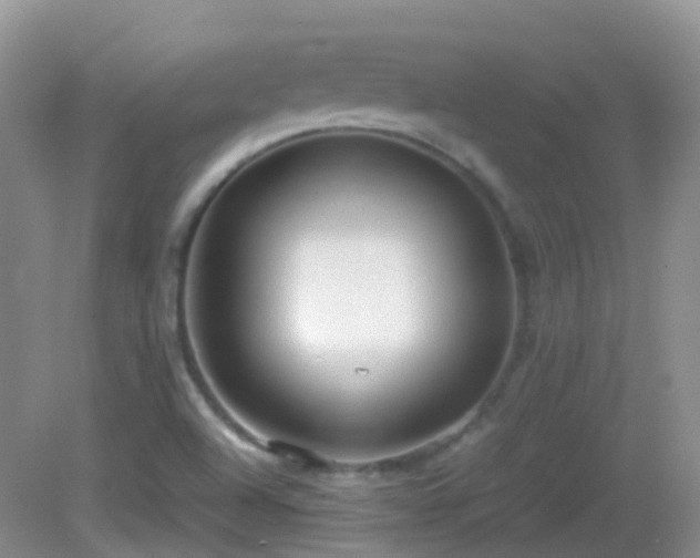 X0000083001504200702011441