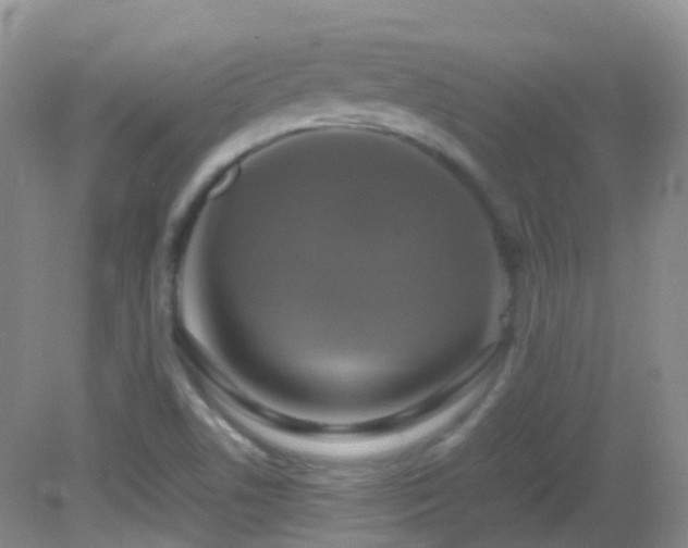 X0000083001506200702011441