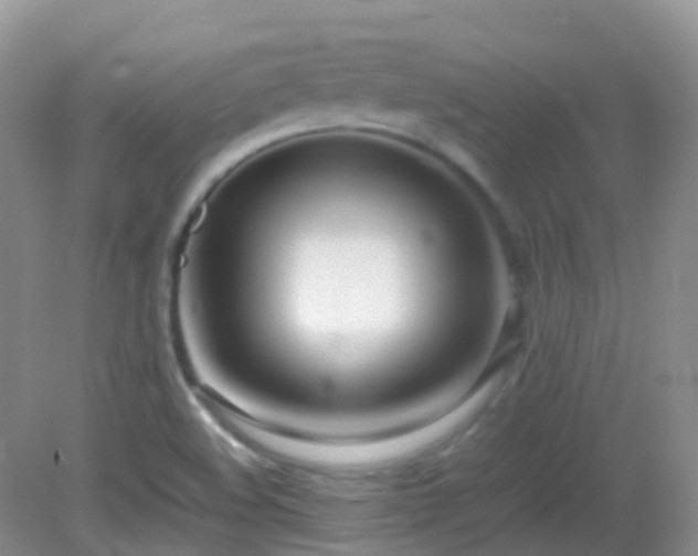 X0000083001508200702011441