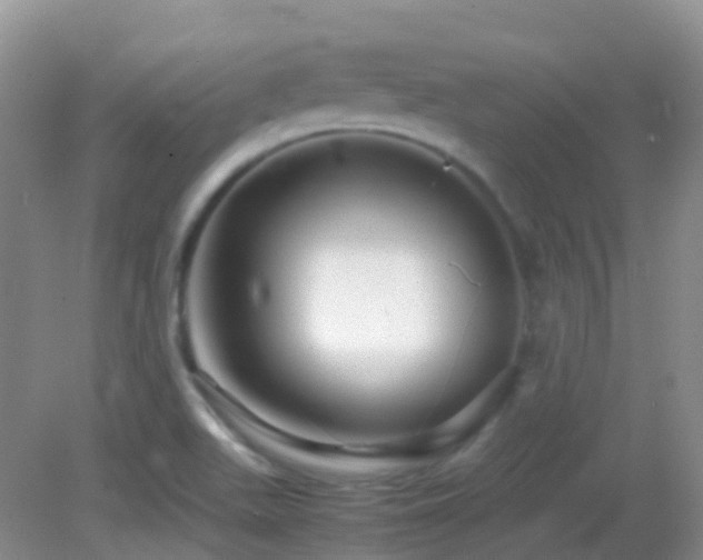 X0000083001511200702011441