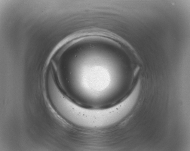 X0000083001514200702011441