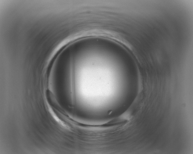 X0000083001515200702011441