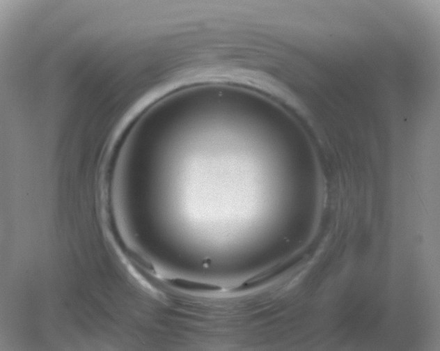 X0000083001517200702011441