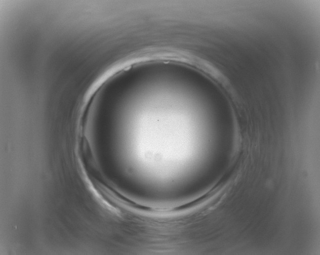 X0000083001520200702011441