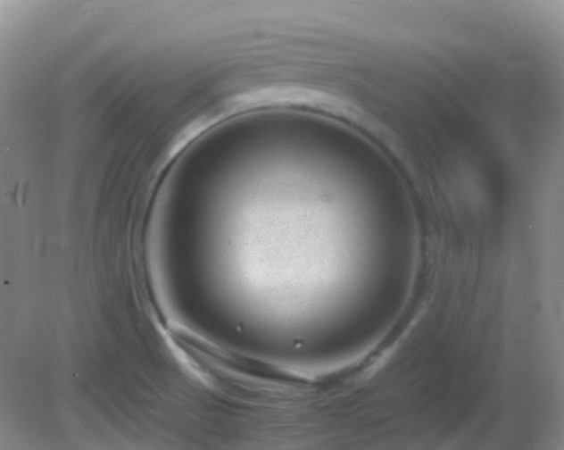 X0000083001521200702011441