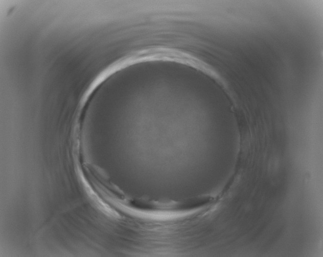X0000083001522200702011441