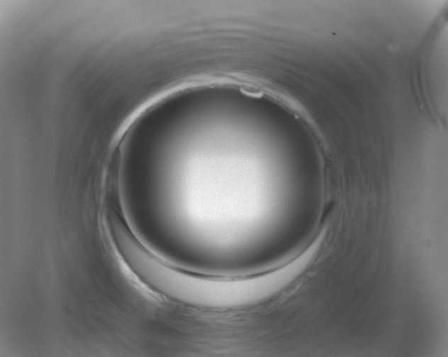 X0000083001524200702011441