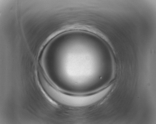 X0000083001525200702011442