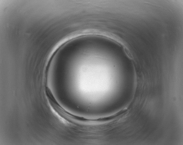 X0000083001527200702011442