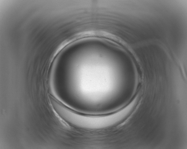 X0000083001529200702011442
