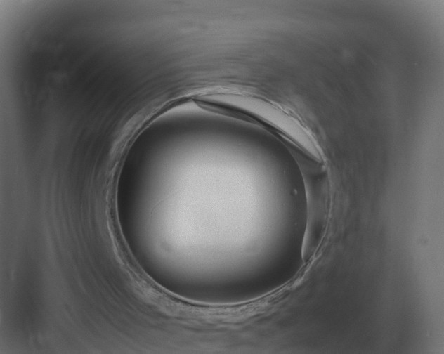 X0000083000001200702081912