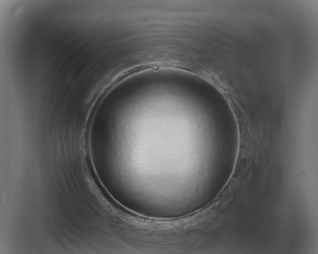 X0000083000002200702081912