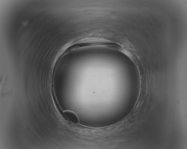 X0000083000003200702081912