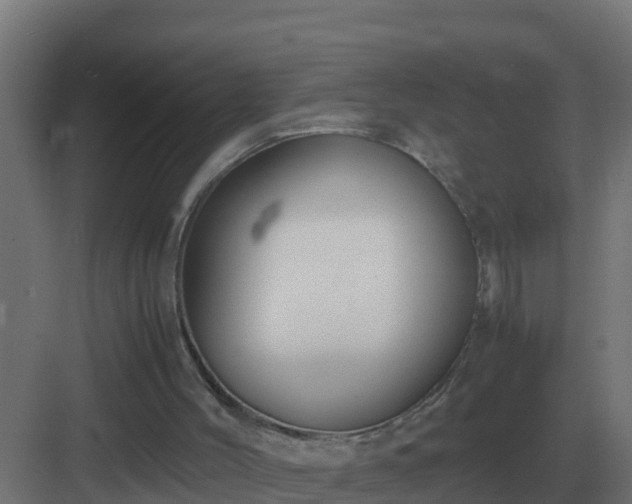 X0000083000004200702081912