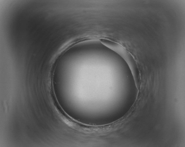 X0000083000005200702081912