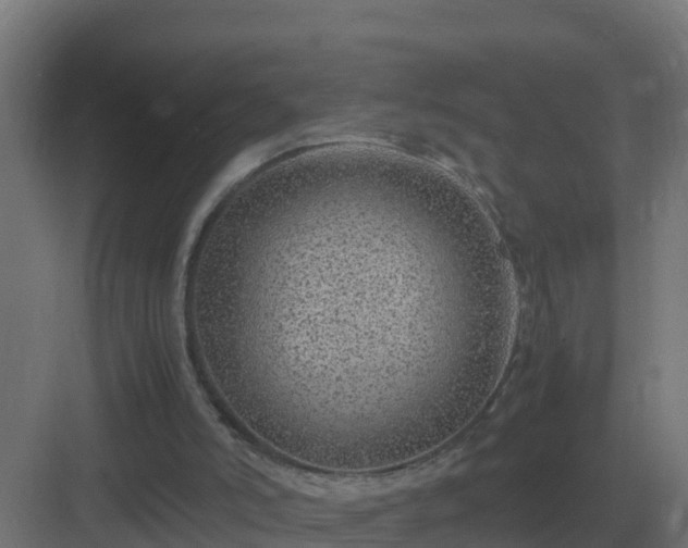 X0000083000006200702081912