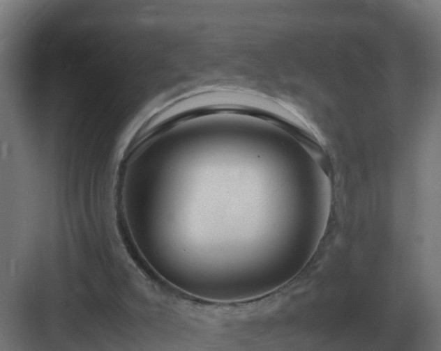 X0000083000007200702081912