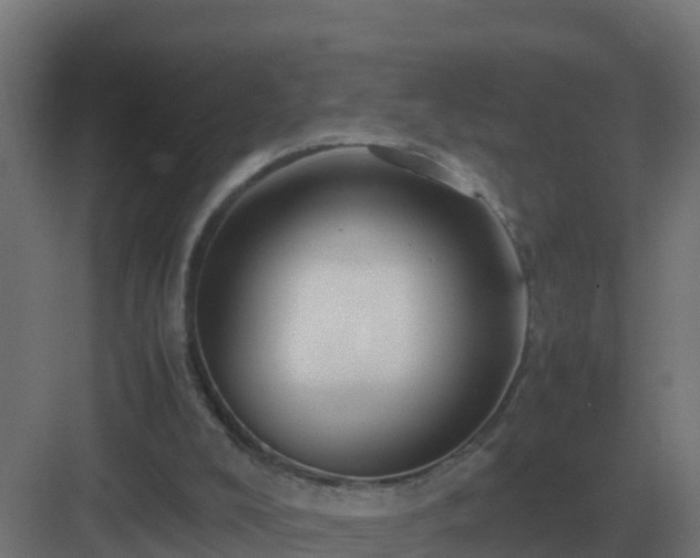 X0000083000008200702081912