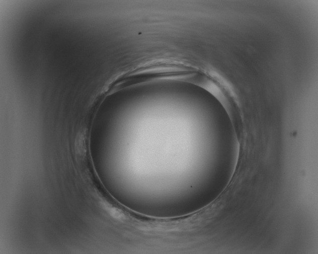 X0000083000009200702081912