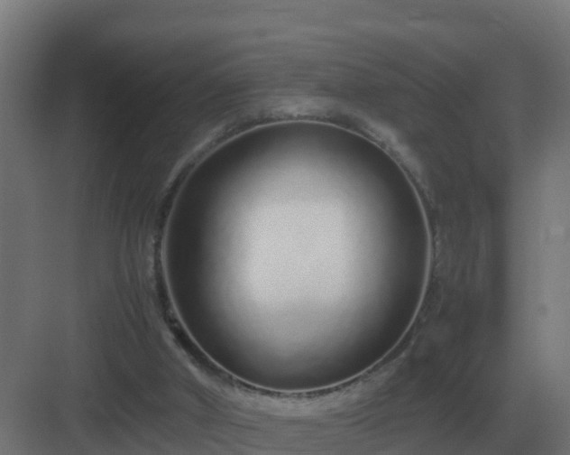 X0000083000010200702081912