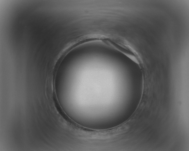 X0000083000011200702081912