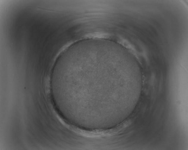 X0000083000012200702081912