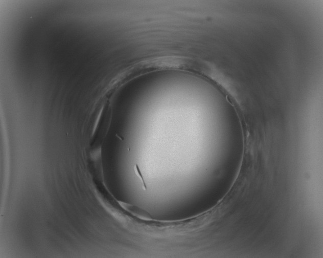 X0000083000013200702081912