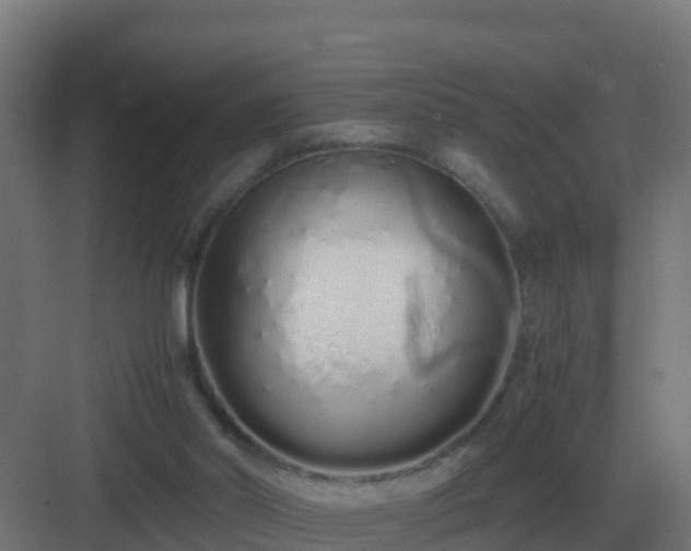 X0000083000014200702081912