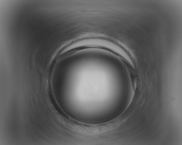 X0000083000015200702081912