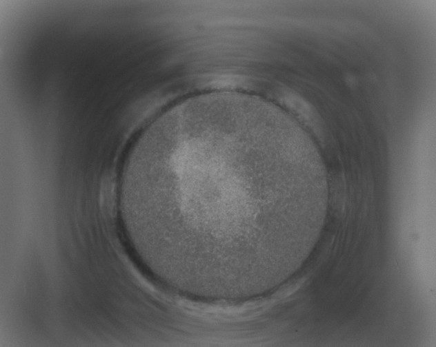 X0000083000016200702081912