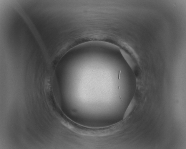 X0000083000017200702081912