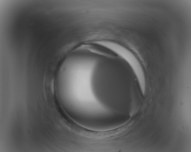 X0000083000019200702081912