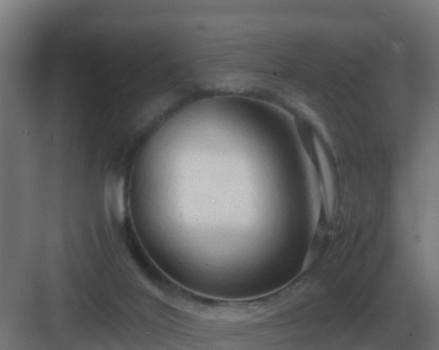 X0000083000020200702081912