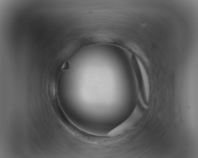 X0000083000021200702081912