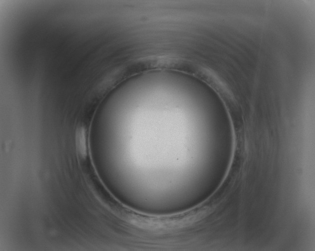 X0000083000022200702081912