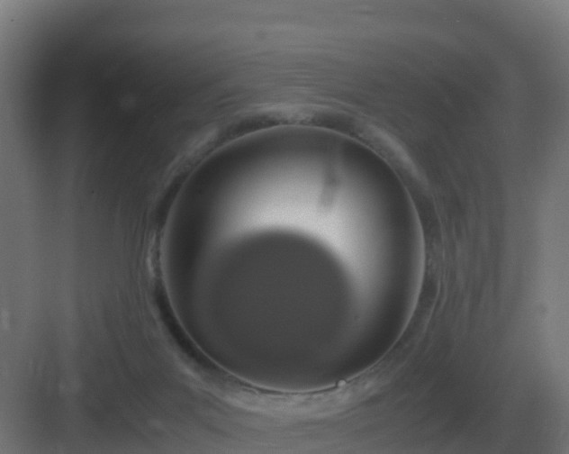 X0000083000023200702081912