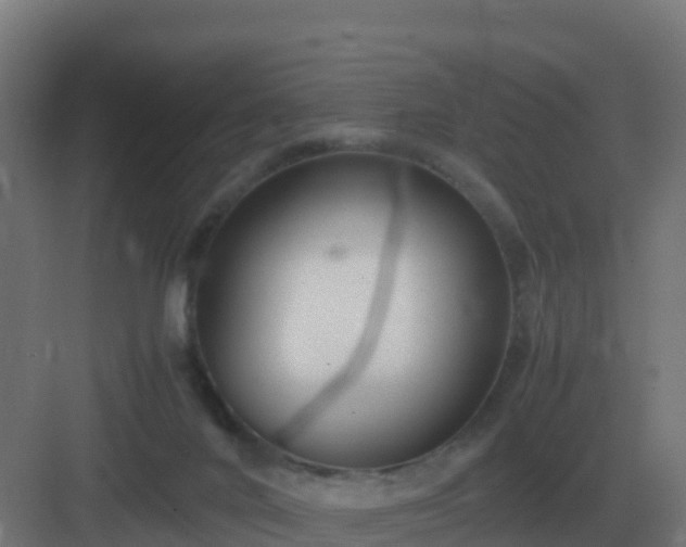 X0000083000024200702081912