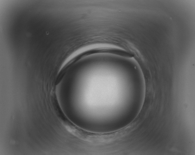 X0000083000025200702081912