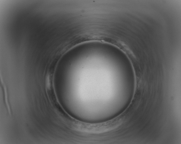 X0000083000026200702081912