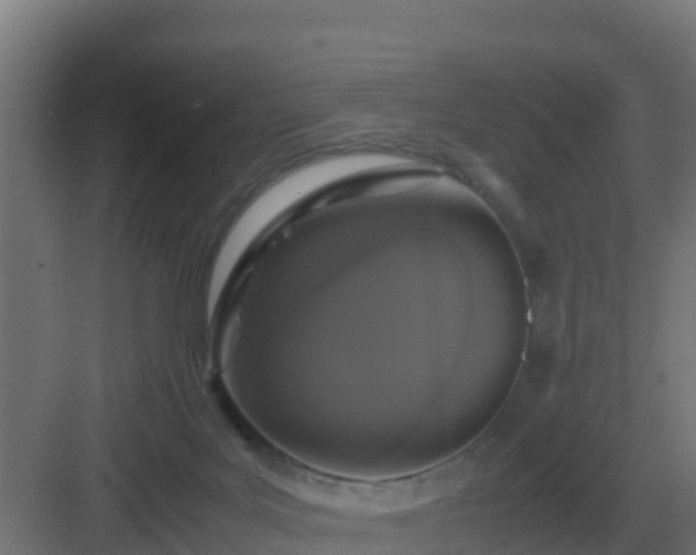 X0000083000027200702081912